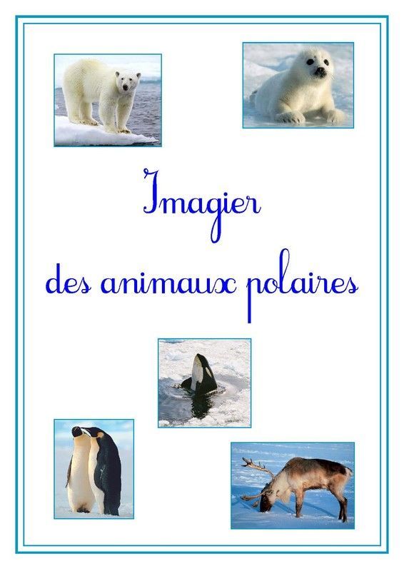 Imagier des animaux polaires page 1