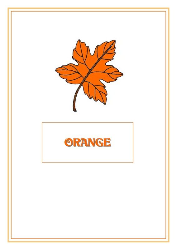 Cahier des couleurs d'automne (Le Orange)