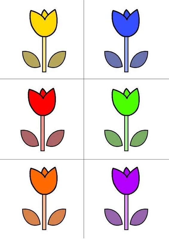 Chasse au trésor - Carte couleurs "Fleur 2"