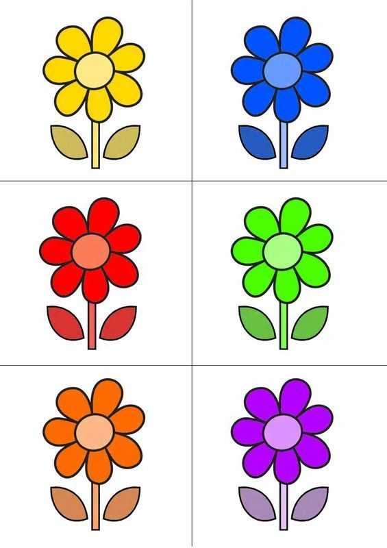Chasse au trésor - Carte couleurs "Fleur 1"