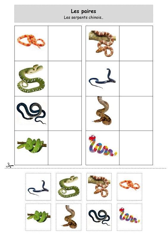 Les paires : les serpents chinois