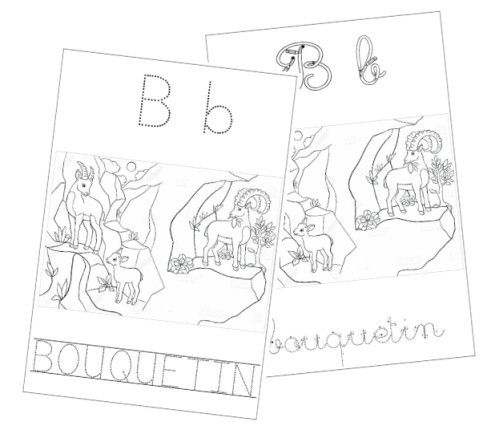 B comme Bouquetin