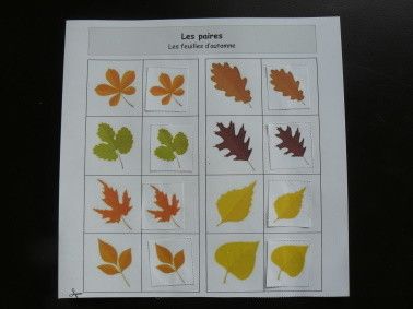 Les paires - Les feuilles d'automne