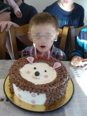 Gâteau d'anniversaire Hérisson